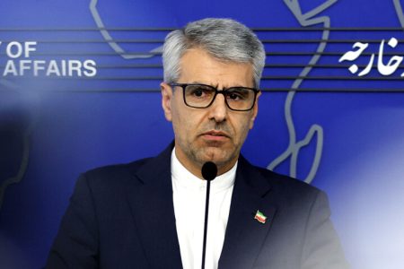 بقائی: اقدام آلمان در ارائه قطعنامه ضد ایرانی در شورای حقوق بشر مداخله‌جویانه است
