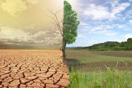 خاک آلوده درمان ندارد؛ هشدار صریح محیط زیست زنجان