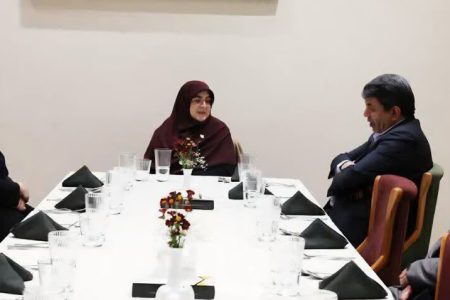 سخنگوی دولت با استقبال استاندار وارد کرمان شد سخنگوی دولت با استقبال استاندار وارد کرمان شد