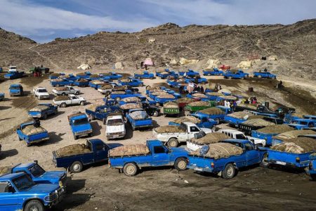 انهدام باند قاچاق ۵ میلیون لیتر سوخت در کشور