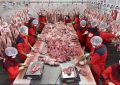 افزایش عرضه و ثبات نسبی بازار گوشت در پاییز