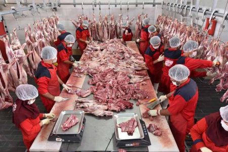 افزایش عرضه و ثبات نسبی بازار گوشت در پاییز
