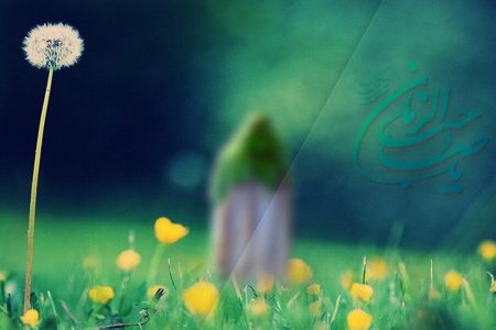 روایت جنجالی خروج امام مهدی(عج) از یمن؛ واقعیت چیست؟