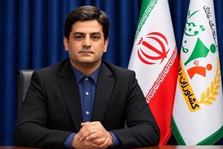 پنج روز تا پایان مهلت پرداخت شناسه‌های بیمه‌ای