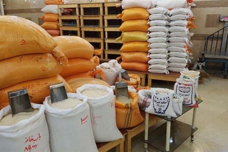 برنج هاشمی، طارم، عنبر بو و شیرودی کیلویی چند؟ + جدول قیمت انواع برنج ایرانی