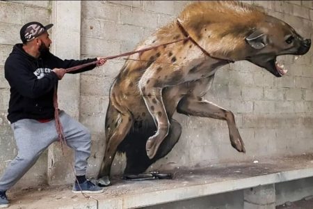 نقاشی‌های برجسته‌ای که زنده تصور می‌شوند/ نگاهی به آثار کادرگریز سرجیو اودیث؛ نقاش پرتغالی