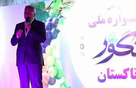 جشنواره ملی انگور در تاکستان افتتاح شد