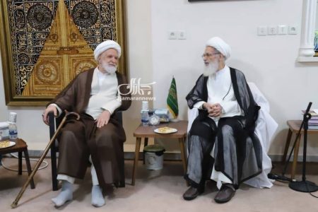 مهدی کروبی به دیدار آیت الله بیات زنجانی رفت+ عکس