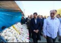 از حدود ۱۰۰ هزار تن سیر تولیدی کشور، ۵۳ هزار تن در همدان تولید می‌شود