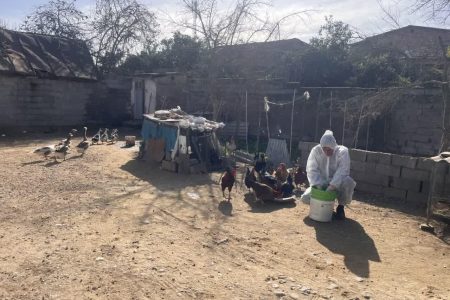 پایان فاز ۱۵ واکسیناسیون نیوکاسل در مازندران