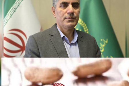 پایان برداشت بادام زمینی گیلان با ارزش اقتصادی ۳.۴ همت