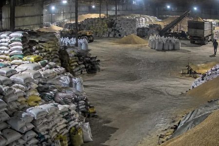 ۶ ماه حبس و ۲ سال منع فعالیت برای عامل تولید خوراک دام فاسد در جویبار