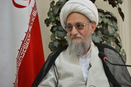 انتقد عضو خبرگان رهبری از عملکرد دولت/ اینکه کمبود نبوده، هنر دولت نیست/ در رابطه با  قیمت و قیمت‌گذاری، اصلاً موفق نبودند